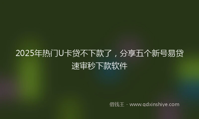 2025年热门U卡贷不下款了，分享五个新号易贷速审秒下款软件