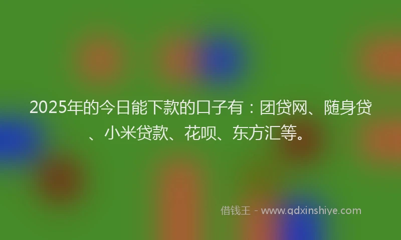 2025年的今日能下款的口子有：团贷网、随身贷、小米贷款、花呗、东方汇等。