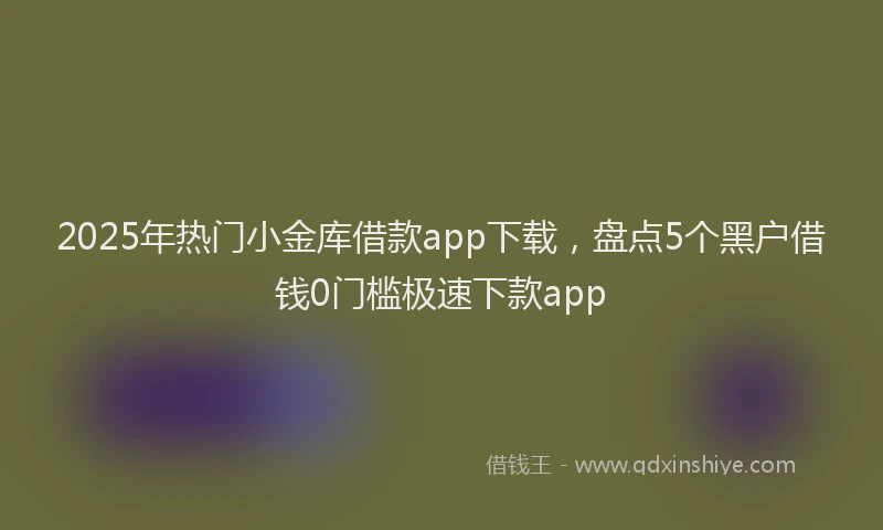2025年热门小金库借款app下载，盘点5个黑户借钱0门槛极速下款app
