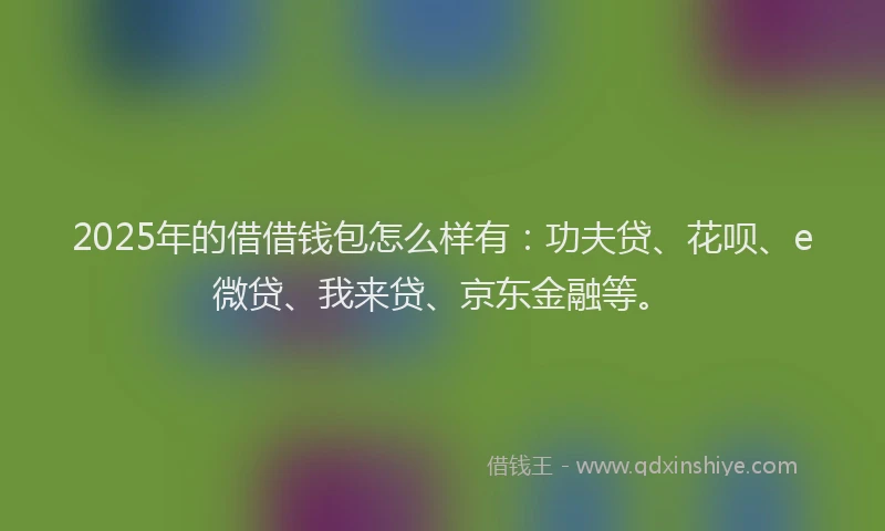 2025年的借借钱包怎么样有：功夫贷、花呗、e微贷、我来贷、京东金融等。