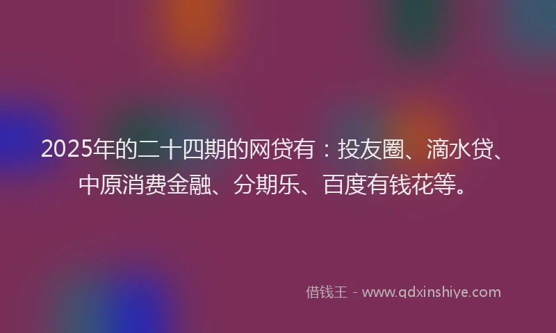 2025年的二十四期的网贷有：投友圈、滴水贷、中原消费金融、分期乐、百度有钱花等。