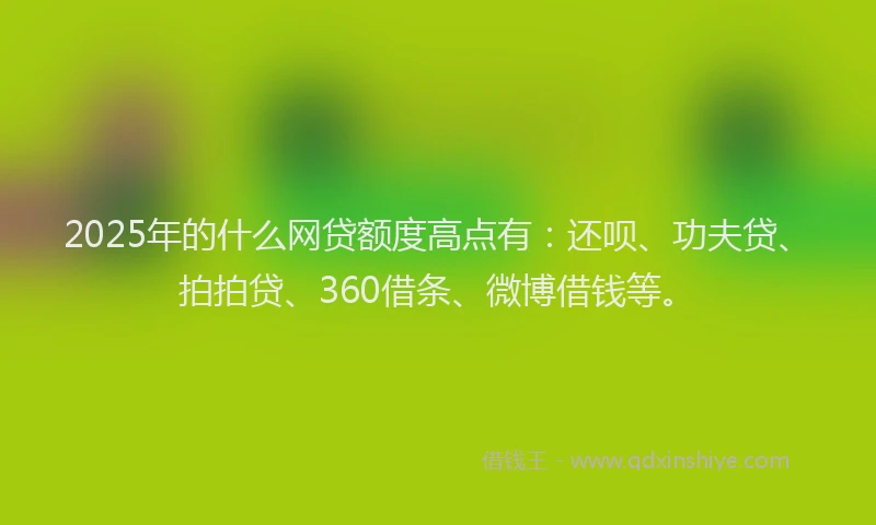 2025年的什么网贷额度高点有：还呗、功夫贷、拍拍贷、360借条、微博借钱等。