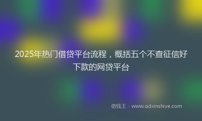 2025年热门借贷平台流程，概括五个不查征信好下款的网贷平台