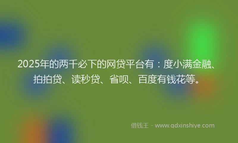2025年的两千必下的网贷平台有：度小满金融、拍拍贷、读秒贷、省呗、百度有钱花等。