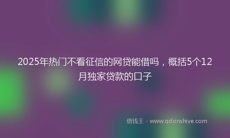 2025年热门不看征信的网贷能借吗，概括5个12月独家贷款的口子