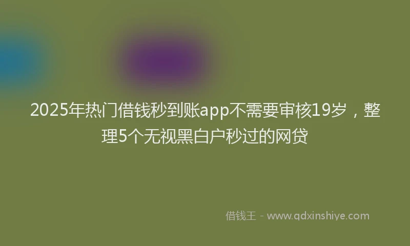 2025年热门借钱秒到账app不需要审核19岁，整理5个无视黑白户秒过的网贷