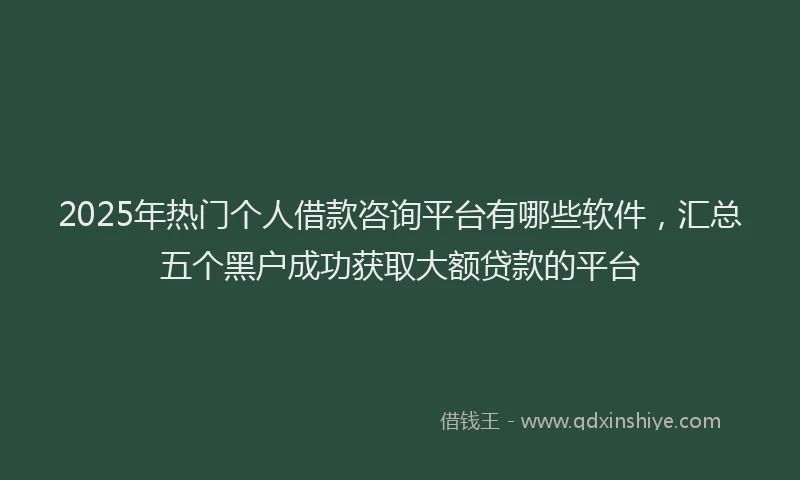 2025年热门个人借款咨询平台有哪些软件，汇总五个黑户成功获取大额贷款的平台