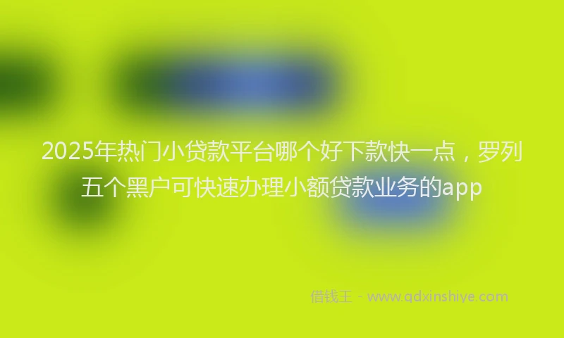 2025年热门小贷款平台哪个好下款快一点，罗列五个黑户可快速办理小额贷款业务的app