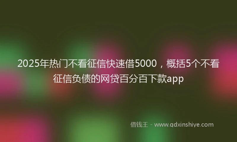 2025年热门不看征信快速借5000，概括5个不看征信负债的网贷百分百下款app