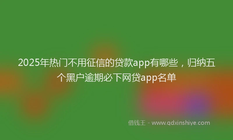 2025年热门不用征信的贷款app有哪些，归纳五个黑户逾期必下网贷app名单