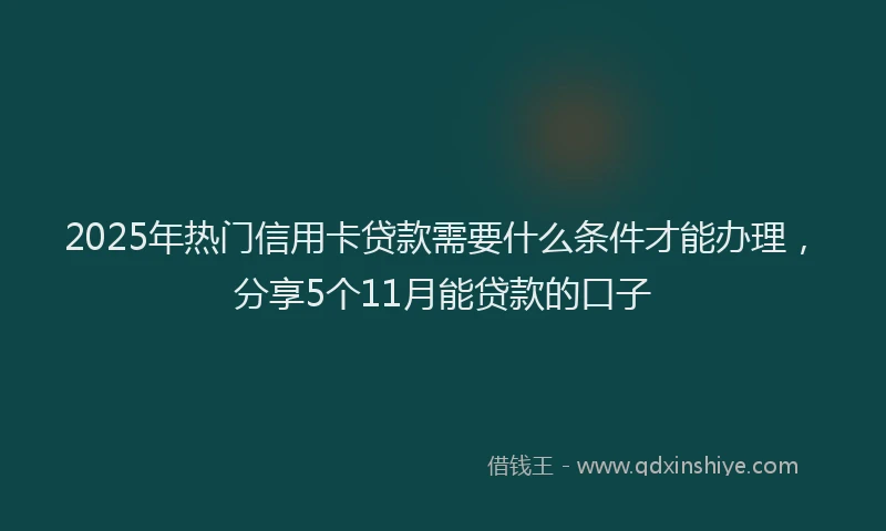 2025年热门信用卡贷款需要什么条件才能办理，分享5个11月能贷款的口子