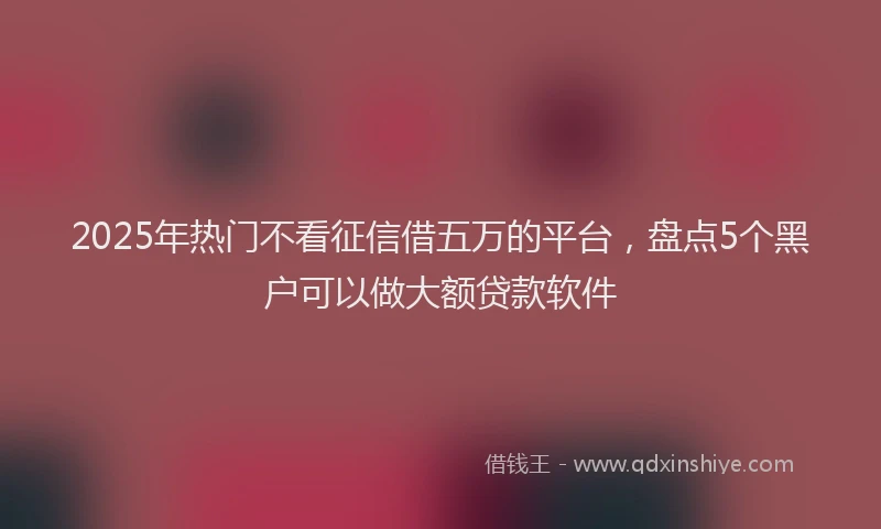 2025年热门不看征信借五万的平台，盘点5个黑户可以做大额贷款软件