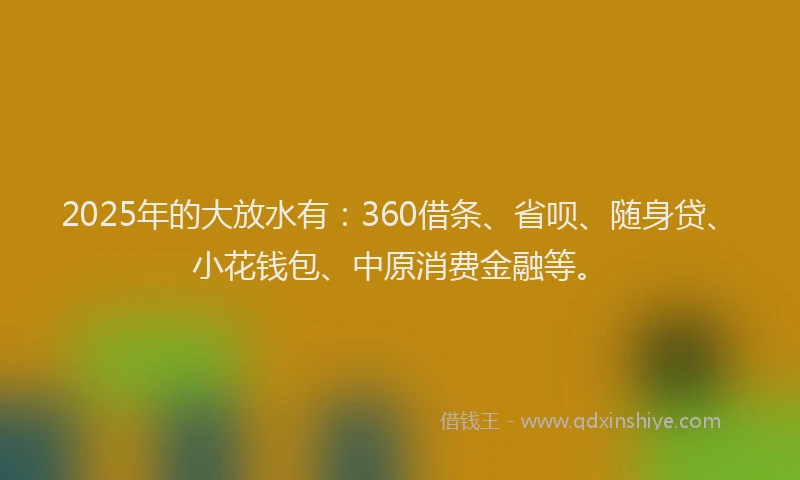 2025年的大放水有：360借条、省呗、随身贷、小花钱包、中原消费金融等。