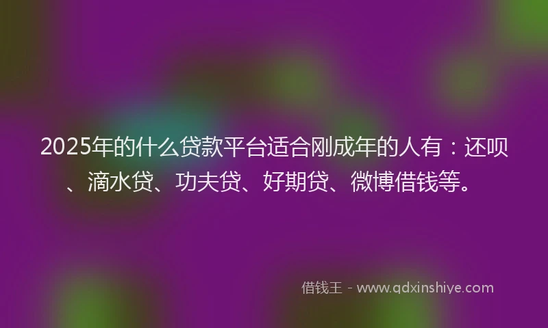 2025年的什么贷款平台适合刚成年的人有：还呗、滴水贷、功夫贷、好期贷、微博借钱等。