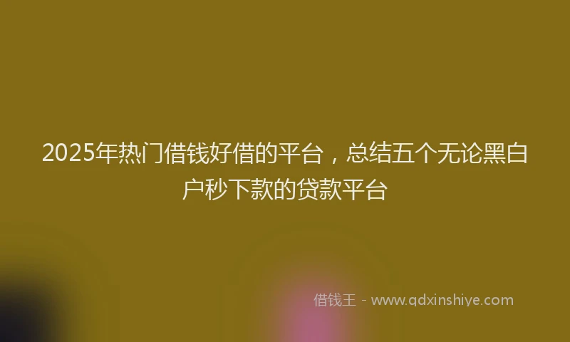2025年热门借钱好借的平台，总结五个无论黑白户秒下款的贷款平台