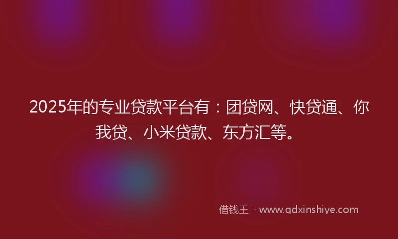 2025年的专业贷款平台有：团贷网、快贷通、你我贷、小米贷款、东方汇等。