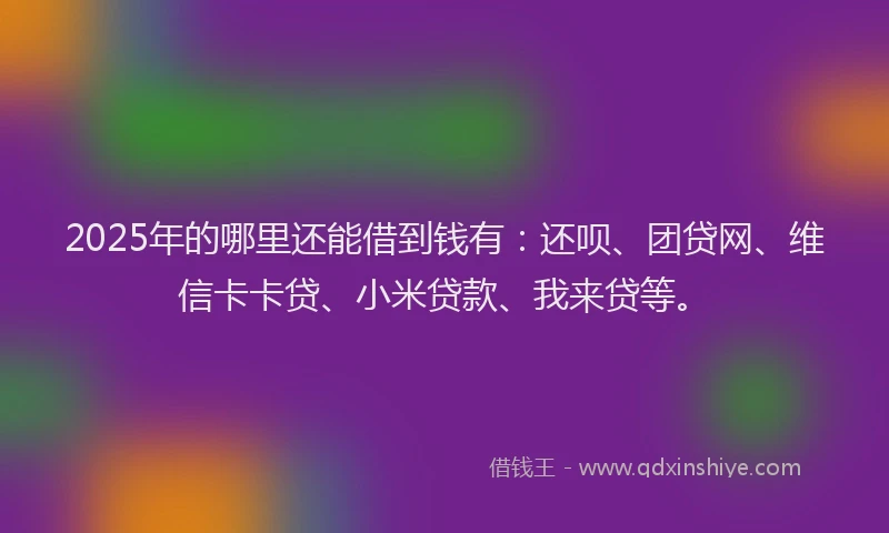 2025年的哪里还能借到钱有：还呗、团贷网、维信卡卡贷、小米贷款、我来贷等。