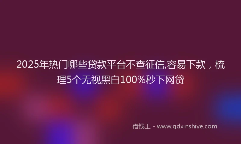 2025年热门哪些贷款平台不查征信,容易下款，梳理5个无视黑白100%秒下网贷