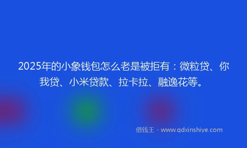 2025年的小象钱包怎么老是被拒有：微粒贷、你我贷、小米贷款、拉卡拉、融逸花等。