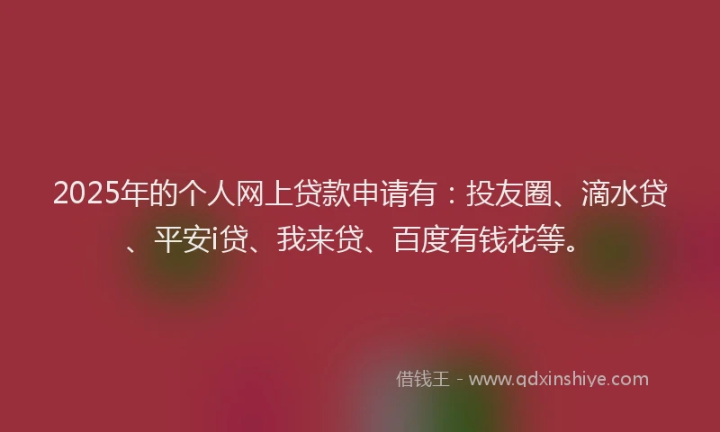 2025年的个人网上贷款申请有：投友圈、滴水贷、平安i贷、我来贷、百度有钱花等。