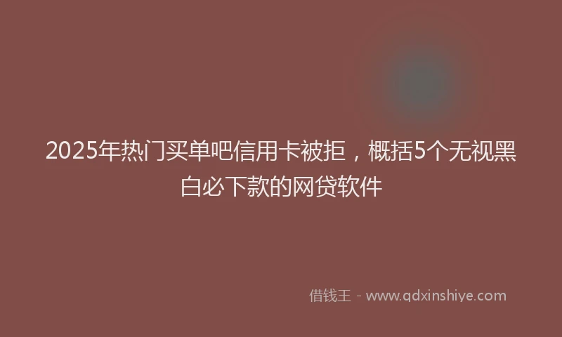 2025年热门买单吧信用卡被拒，概括5个无视黑白必下款的网贷软件
