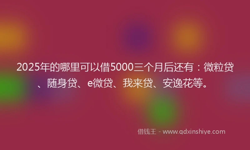 2025年的哪里可以借5000三个月后还有：微粒贷、随身贷、e微贷、我来贷、安逸花等。