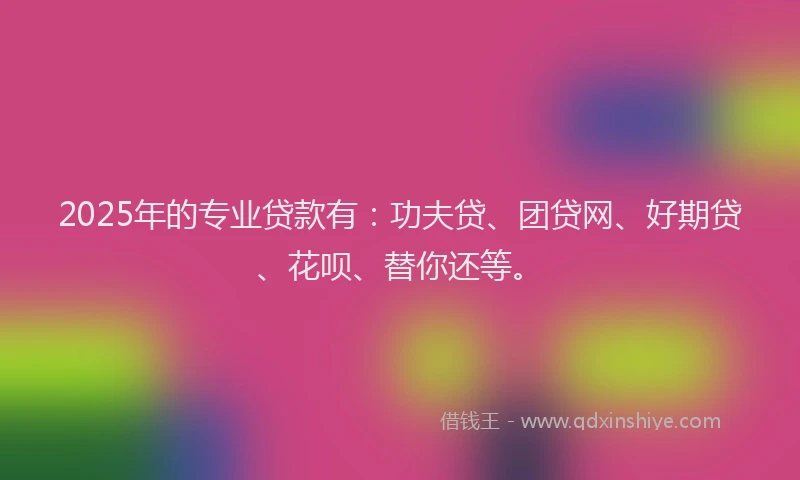 2025年的专业贷款有：功夫贷、团贷网、好期贷、花呗、替你还等。