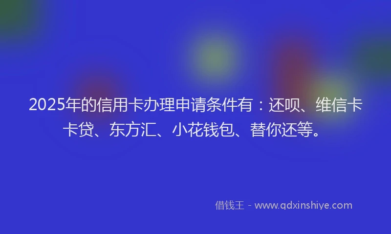 2025年的信用卡办理申请条件有：还呗、维信卡卡贷、东方汇、小花钱包、替你还等。
