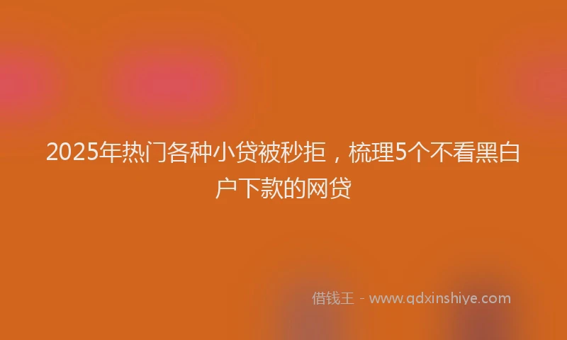 2025年热门各种小贷被秒拒，梳理5个不看黑白户下款的网贷