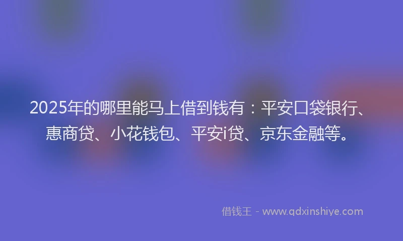 2025年的哪里能马上借到钱有：平安口袋银行、惠商贷、小花钱包、平安i贷、京东金融等。