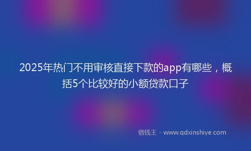 2025年热门不用审核直接下款的app有哪些，概括5个比较好的小额贷款口子