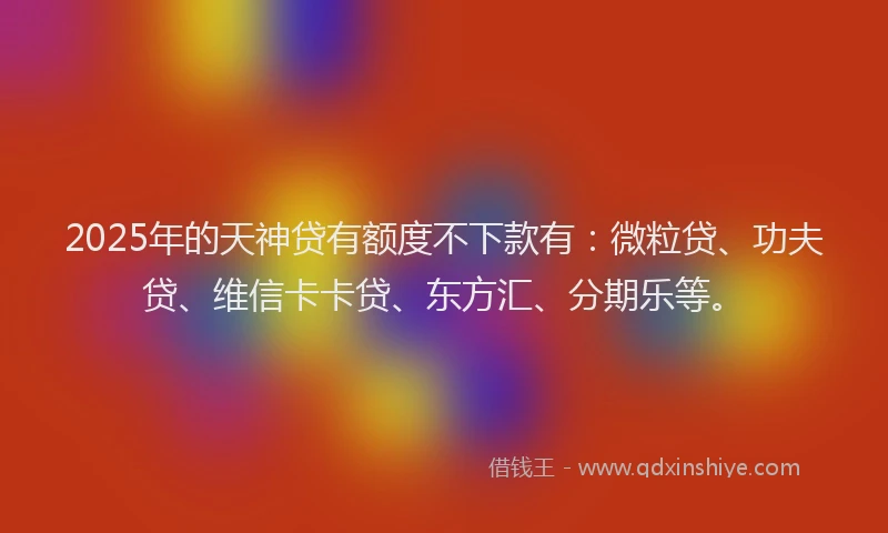 2025年的天神贷有额度不下款有：微粒贷、功夫贷、维信卡卡贷、东方汇、分期乐等。