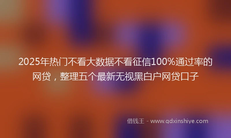 2025年热门不看大数据不看征信100%通过率的网贷，整理五个最新无视黑白户网贷口子