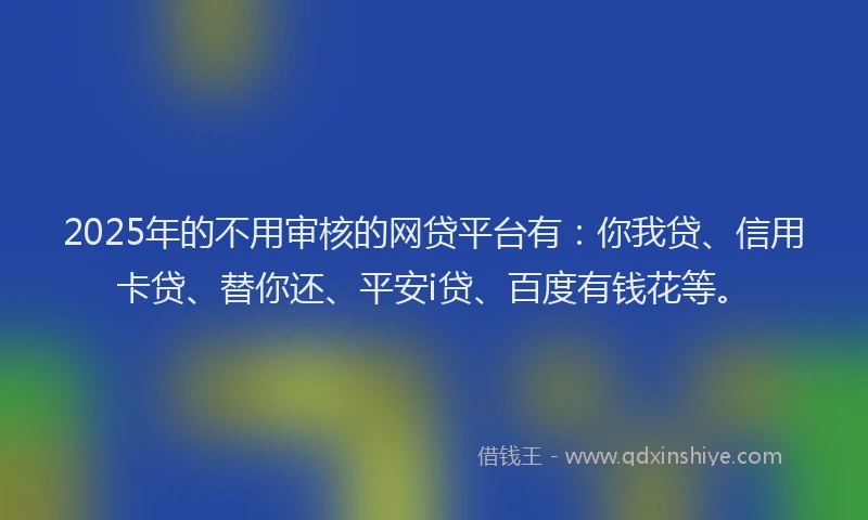 2025年的不用审核的网贷平台有：你我贷、信用卡贷、替你还、平安i贷、百度有钱花等。