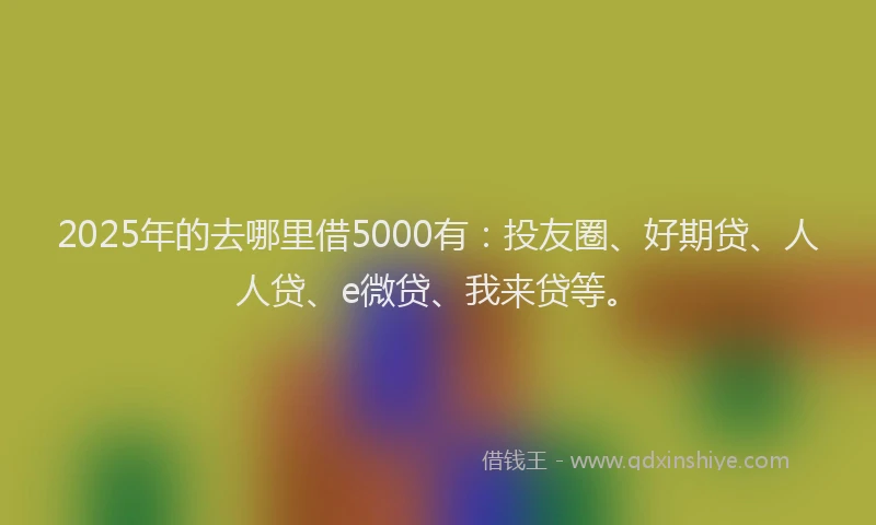 2025年的去哪里借5000有：投友圈、好期贷、人人贷、e微贷、我来贷等。