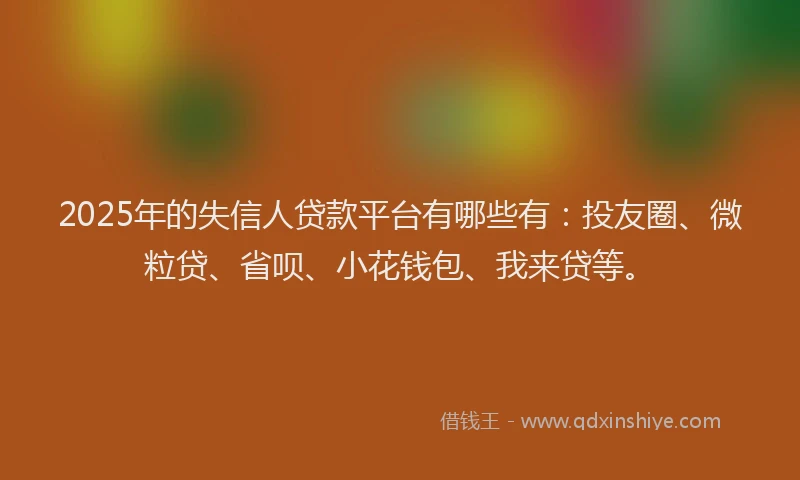 2025年的失信人贷款平台有哪些有：投友圈、微粒贷、省呗、小花钱包、我来贷等。