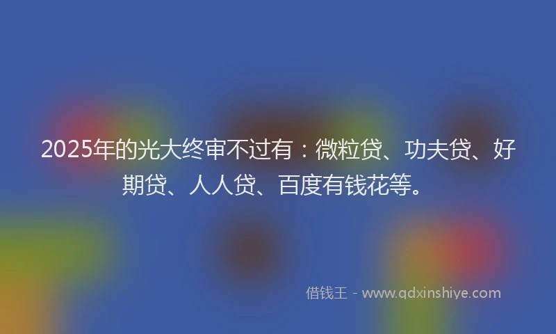 2025年的光大终审不过有：微粒贷、功夫贷、好期贷、人人贷、百度有钱花等。