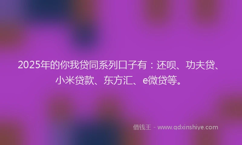 2025年的你我贷同系列口子有：还呗、功夫贷、小米贷款、东方汇、e微贷等。