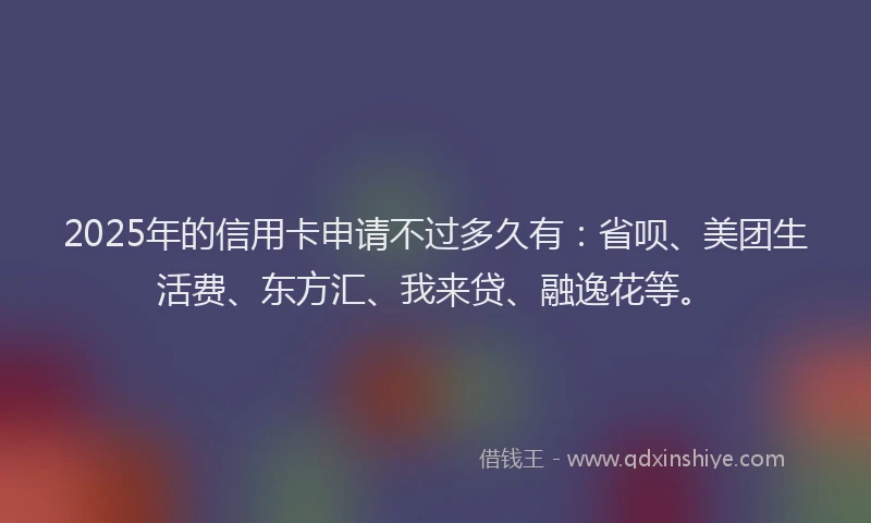 2025年的信用卡申请不过多久有：省呗、美团生活费、东方汇、我来贷、融逸花等。