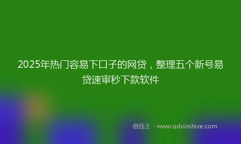 2025年热门容易下口子的网贷，整理五个新号易贷速审秒下款软件