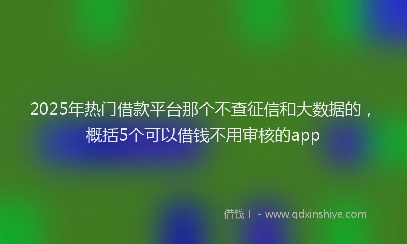 2025年热门借款平台那个不查征信和大数据的，概括5个可以借钱不用审核的app