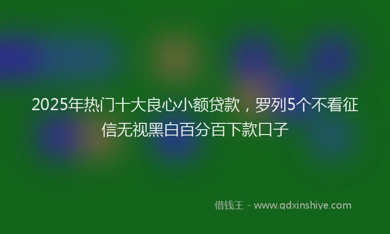 2025年热门十大良心小额贷款，罗列5个不看征信无视黑白百分百下款口子
