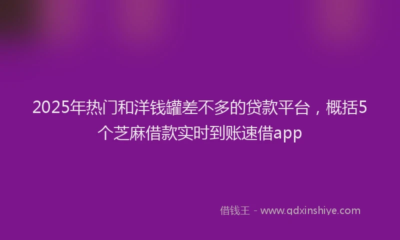 2025年热门和洋钱罐差不多的贷款平台，概括5个芝麻借款实时到账速借app
