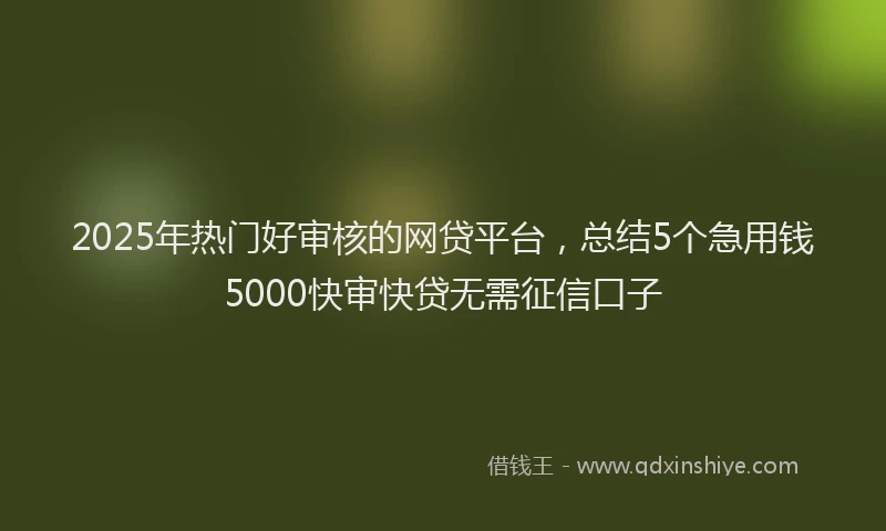2025年热门好审核的网贷平台，总结5个急用钱5000快审快贷无需征信口子
