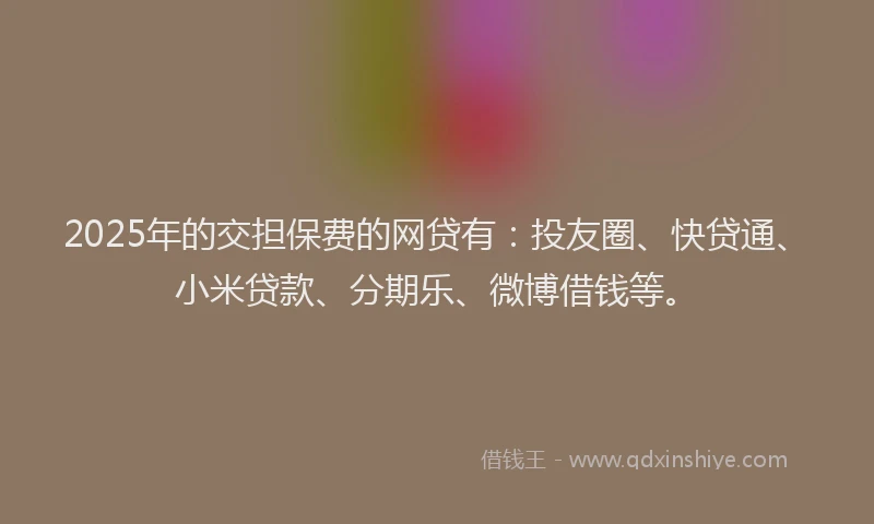 2025年的交担保费的网贷有：投友圈、快贷通、小米贷款、分期乐、微博借钱等。