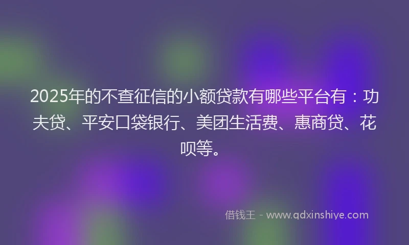 2025年的不查征信的小额贷款有哪些平台有：功夫贷、平安口袋银行、美团生活费、惠商贷、花呗等。