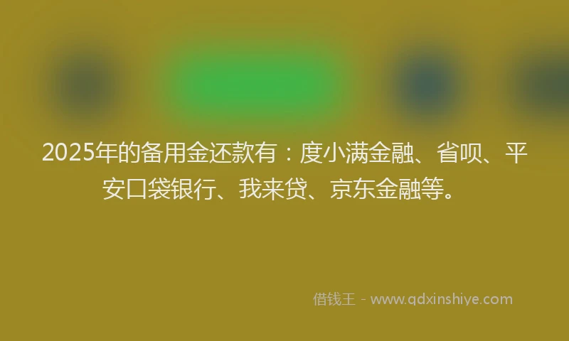 2025年的备用金还款有：度小满金融、省呗、平安口袋银行、我来贷、京东金融等。