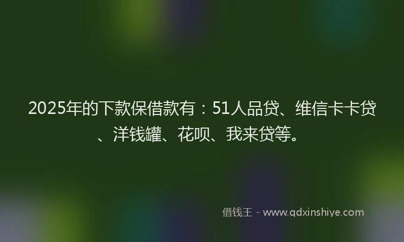 2025年的下款保借款有：51人品贷、维信卡卡贷、洋钱罐、花呗、我来贷等。