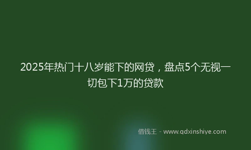 2025年热门十八岁能下的网贷，盘点5个无视一切包下1万的贷款