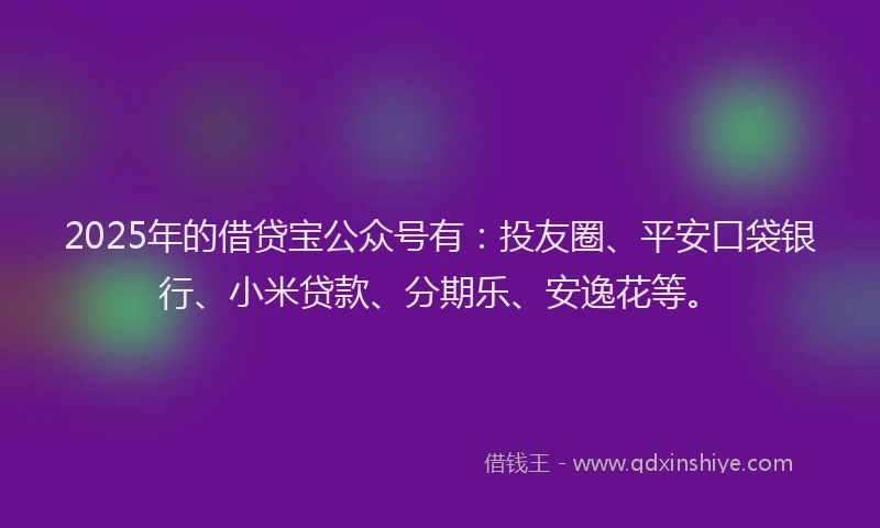 2025年的借贷宝公众号有：投友圈、平安口袋银行、小米贷款、分期乐、安逸花等。